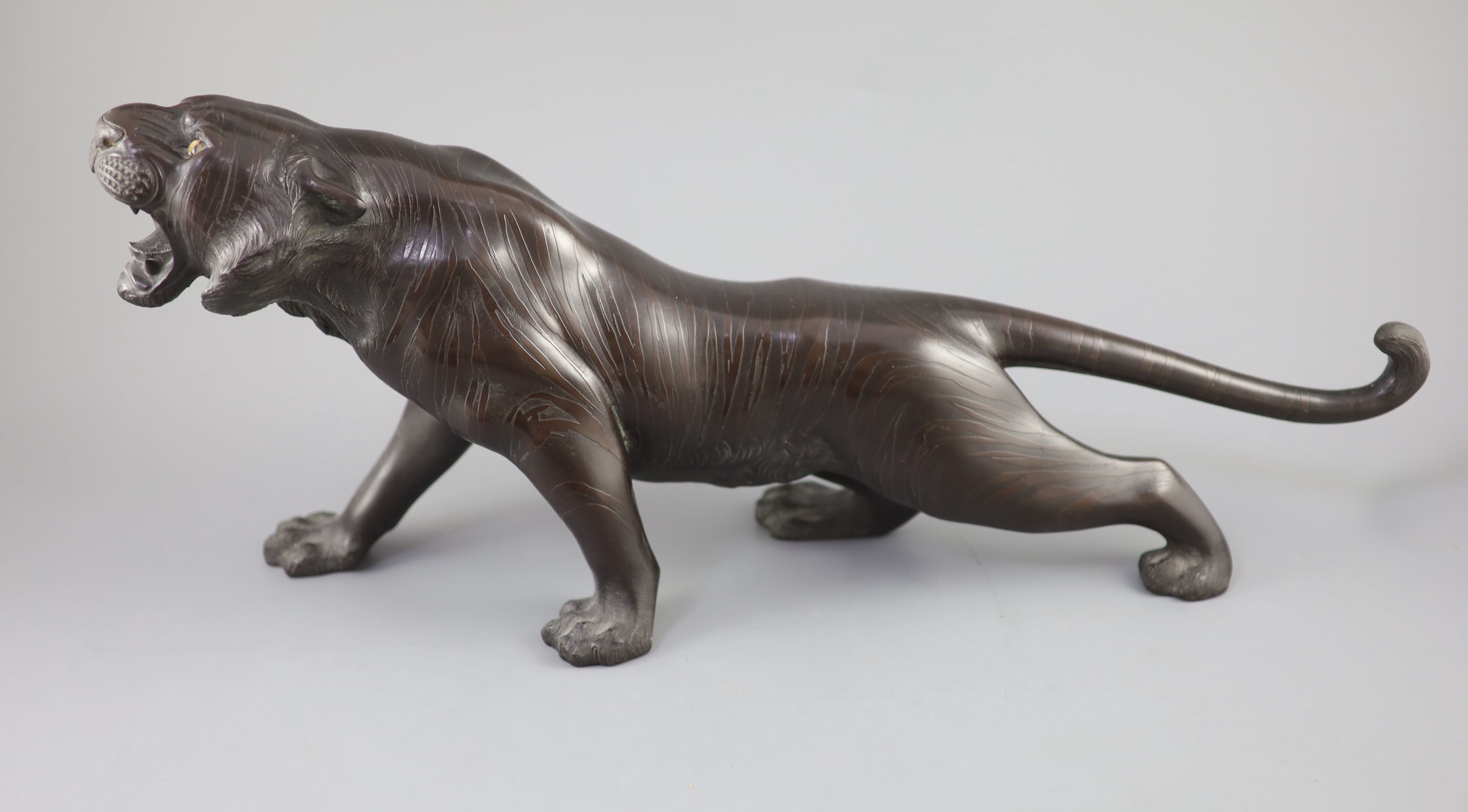 A Japanese bronze figure of a tiger, naturalistically modelled, standing roaring, Meiji period, signed, on wooden plinth 24in.